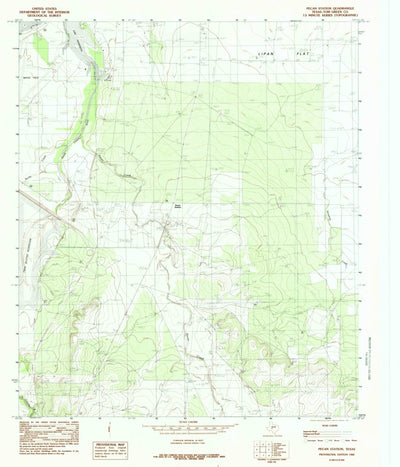United States Geological Survey Pecan Station, TX (1984, 24000-Scale) digital map
