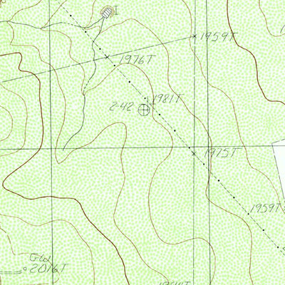 United States Geological Survey Pecan Station, TX (1984, 24000-Scale) digital map
