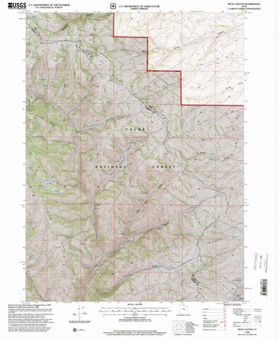 United States Geological Survey Peck Canyon, UT (1998, 24000-Scale) digital map