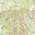 United States Geological Survey Pedernales River, TX (1985, 100000-Scale) digital map