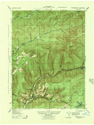 United States Geological Survey Peekamoose Mountain, NY (1943, 31680-Scale) digital map