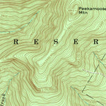 United States Geological Survey Peekamoose Mountain, NY (1969, 24000-Scale) digital map