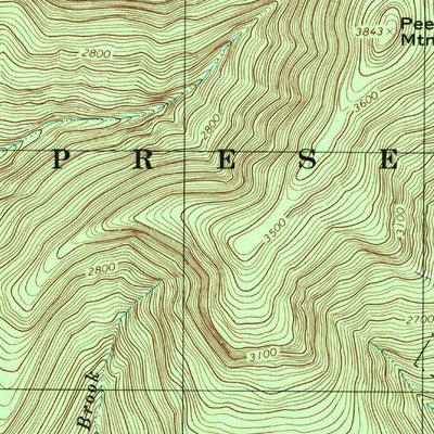United States Geological Survey Peekamoose Mountain, NY (1997, 24000-Scale) digital map