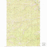 United States Geological Survey Peggy Peak, ID (1988, 24000-Scale) digital map