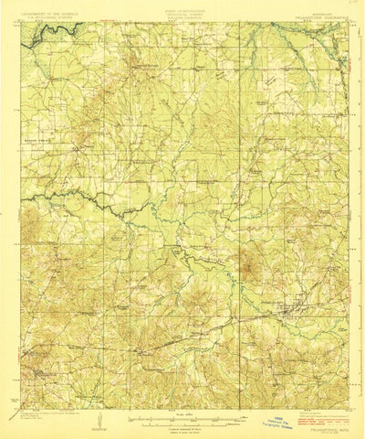 United States Geological Survey Pelahatchie, MS (1924, 62500-Scale) digital map