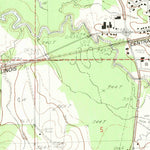 United States Geological Survey Pelahatchie, MS (1982, 24000-Scale) digital map