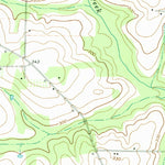 United States Geological Survey Pelham, GA (1971, 24000-Scale) digital map