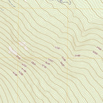 United States Geological Survey Pelican Bay, OR (2020, 24000-Scale) digital map