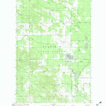 United States Geological Survey Pellston, MI (1982, 25000-Scale) digital map