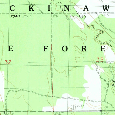 United States Geological Survey Pellston, MI (1982, 25000-Scale) digital map