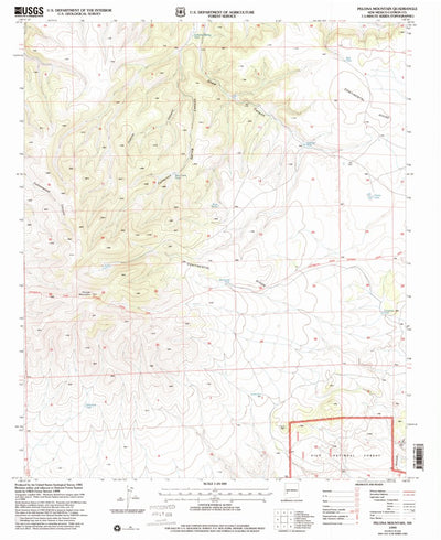 United States Geological Survey Pelona Mountain, NM (1999, 24000-Scale) digital map