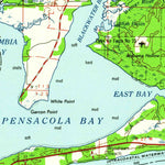 United States Geological Survey Pensacola, FL-AL (1960, 250000-Scale) digital map