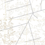 United States Geological Survey Penwell SW, TX (2022, 24000-Scale) digital map