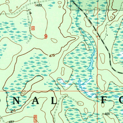 United States Geological Survey Perch Lake, MI (1999, 24000-Scale) digital map