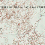 United States Geological Survey Perico, TX (1998, 24000-Scale) digital map