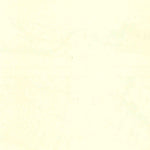 United States Geological Survey Perilla, AZ-NM (1919, 125000-Scale) digital map