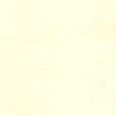 United States Geological Survey Perilla, AZ-NM (1919, 125000-Scale) digital map