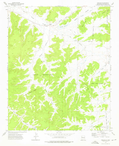 United States Geological Survey Pescado, NM (1972, 24000-Scale) digital map