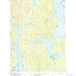 United States Geological Survey Petersburg A-4, AK (1949, 63360-Scale) digital map