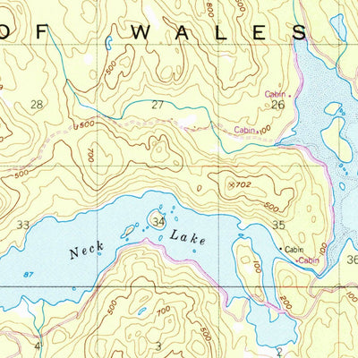 United States Geological Survey Petersburg A-4, AK (1949, 63360-Scale) digital map