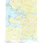United States Geological Survey Petersburg A-5, AK (1949, 63360-Scale) digital map