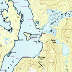 United States Geological Survey Petersburg A-5, AK (1949, 63360-Scale) digital map