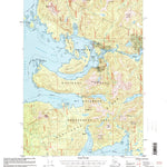 United States Geological Survey Petersburg A-5, AK (1995, 63360-Scale) digital map