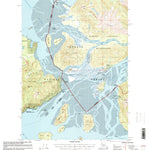 United States Geological Survey Petersburg C-2, AK (1997, 63360-Scale) digital map