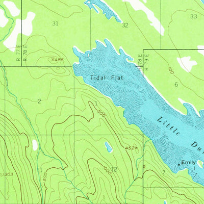 United States Geological Survey Petersburg C-4, AK (1951, 63360-Scale) digital map