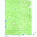 United States Geological Survey Petersburg C-5, AK (1951, 63360-Scale) digital map