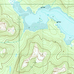 United States Geological Survey Petersburg C-6, AK (1948, 63360-Scale) digital map