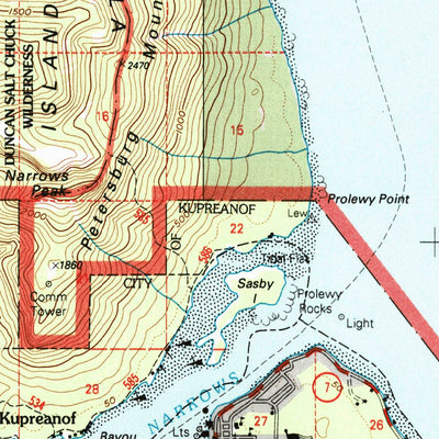 United States Geological Survey Petersburg D-3, AK (1995, 63360-Scale) digital map