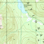 United States Geological Survey Petersburg D-4, AK (1951, 63360-Scale) digital map
