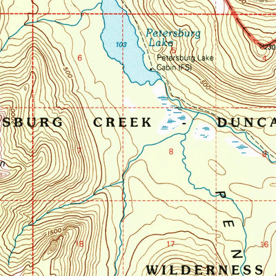 United States Geological Survey Petersburg D-4, AK (1995, 63360-Scale) digital map