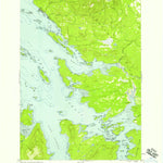 United States Geological Survey Petersburg D-6, AK (1948, 63360-Scale) digital map