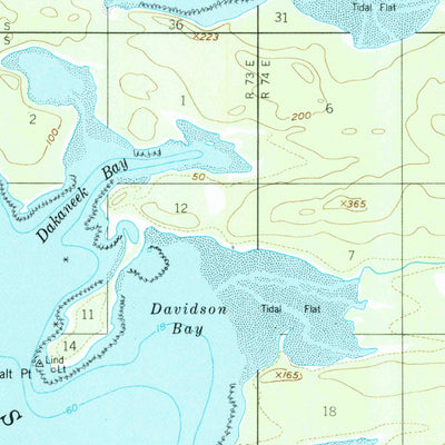 United States Geological Survey Petersburg D-6, AK (1951, 63360-Scale) digital map