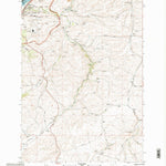 United States Geological Survey Petersburg, OR-WA (1994, 24000-Scale) digital map