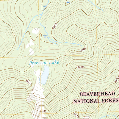 United States Geological Survey Peterson Lake, MT (2020, 24000-Scale) digital map