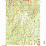 United States Geological Survey Peterson Point, OR (1992, 24000-Scale) digital map
