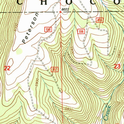 United States Geological Survey Peterson Point, OR (1992, 24000-Scale) digital map