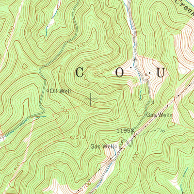 United States Geological Survey Peterson, WV (1966, 24000-Scale) digital map