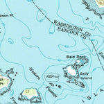 United States Geological Survey Petit Manan Point, ME (1948, 24000-Scale) digital map