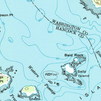 United States Geological Survey Petit Manan Point, ME (1948, 24000-Scale) digital map