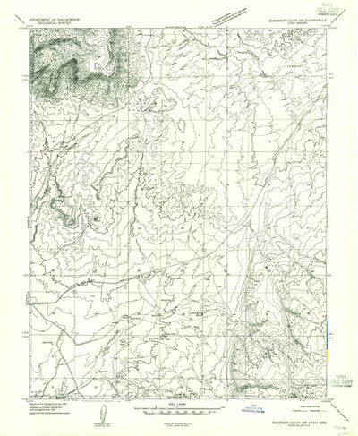 United States Geological Survey Petrified Hollow, UT-AZ (1954, 24000-Scale) digital map