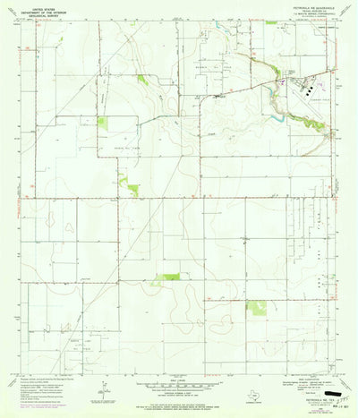 United States Geological Survey Petronila NE, TX (1969, 24000-Scale) digital map