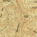 United States Geological Survey Petros, TN (1946, 24000-Scale) digital map