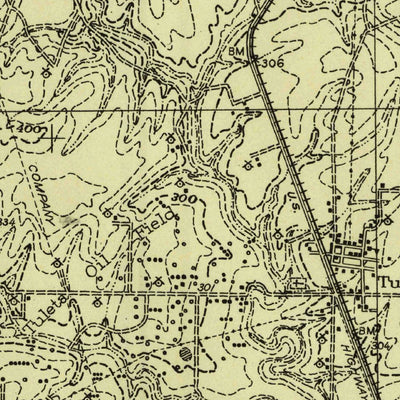 United States Geological Survey Pettus, TX (1936, 62500-Scale) digital map