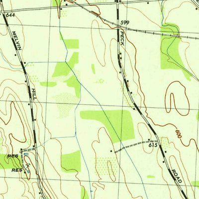 United States Geological Survey Phelps, NY (1943, 31680-Scale) digital map