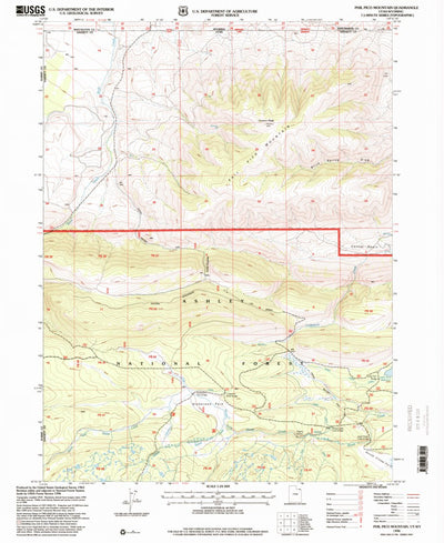 United States Geological Survey Phil Pico Mountain, UT-WY (1996, 24000-Scale) digital map