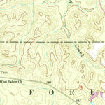United States Geological Survey Piave, MS (1964, 24000-Scale) digital map